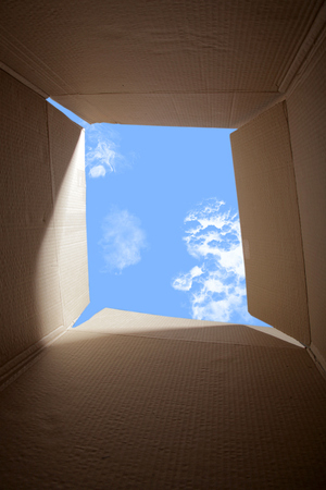 Cardboard boxes