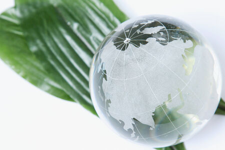A glass globe on green leavesの写真素材