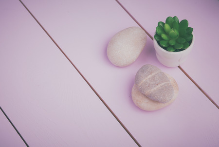 Stones and plant on the white backgroundの写真素材