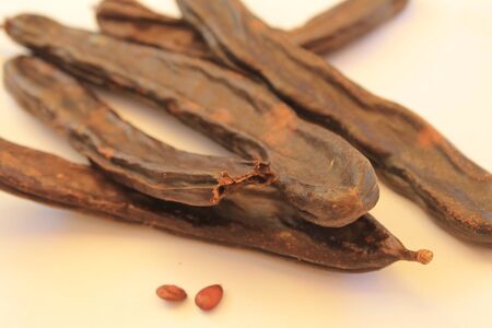 Ceratophyllum Carob pods dry fruits with seedsの写真素材