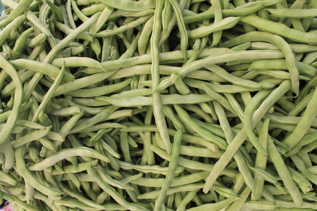 Fresh green beans to cook a lot on the tableの写真素材