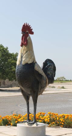 Sculpture Rooster Hierapolis ruins of the ancient city Pamukkale in Turkeyの写真素材