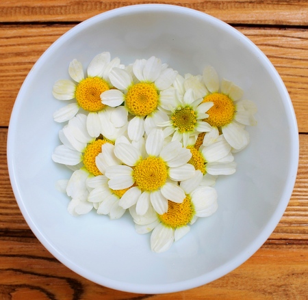Chamomile flowers in a white plate on a wooden tableの写真素材