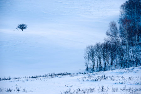 Snowy Sunrise