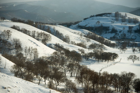 Snowy Sunriseの写真素材