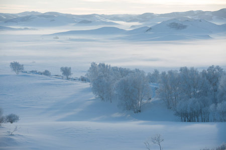 beautiful snow
