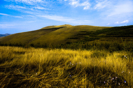 nature scenery