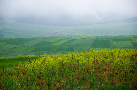 nature scenery