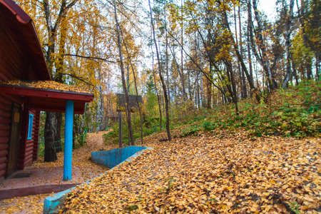 The old wooden house is located in a yellow autumn forest with yellow fallen leaves.の写真素材