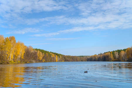Beautiful autumn landscape with clear blue lake and yellow autumn trees. The sky with white clouds and autumn yellow trees are reflected in the mirror of the water.の写真素材