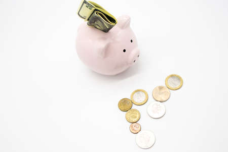 Pink piggy bank and money isolated on white