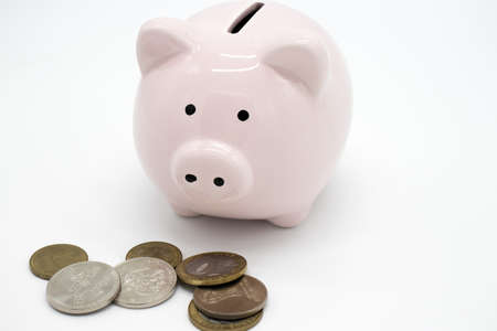 Pink piggy bank and money isolated on white