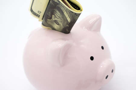 Pink piggy bank and money isolated on white