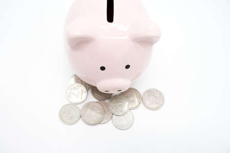 Pink piggy bank and money isolated on whiteの写真素材
