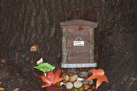 Close up of tree trunk with fairy door, autumn leaves. An urban art movement of tiny fairy doors hitting the curbs, trees, and public spaces on the Island of Alameda, CA spreading a little whimsyの写真素材