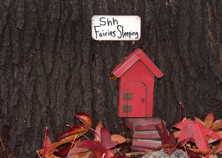 Close up of tree trunk with fairy door, autumn leaves. An urban art movement of tiny fairy doors hitting the curbs, trees, and public spaces on the Island of Alameda, CA spreading a little whimsyの写真素材
