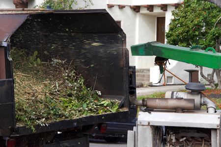 Wood chipper blowing tree branches cut up into the back of a truck. A tree chipper or wood chipper...