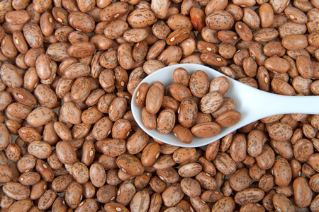Flat view from above pinto beans on a white spoon scooping into a pile of beans.の写真素材