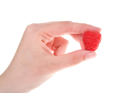 Young female caucasian hand holding a large fresh ripe raspberry, isolated on white background.の写真素材