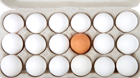 One speckled brown egg in the middle of white eggs in carton. diversity concept.の写真素材