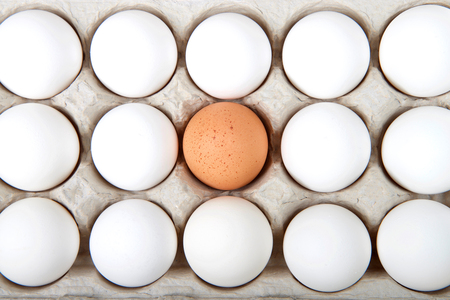 One speckled brown egg in the middle of white eggs in carton. Diversity conceptの写真素材