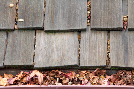 Wood shingle roof on house, rain gutters clogged with leaves, sticks and debris from trees.  Increased risk of rusting, increased need for maintenance and is a potential fire hazard.の写真素材