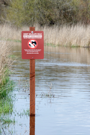 sign cautioning hikers not to feed wildlife, submerged in flood waters at Coyote Hills in Northern California after recent torrential rain fall.の写真素材