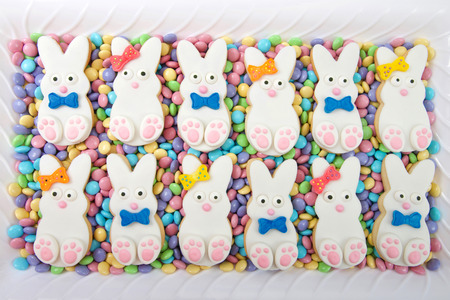 Easter bunny cookies, boys and girls alternating laying on candy coated chocolates on a white...