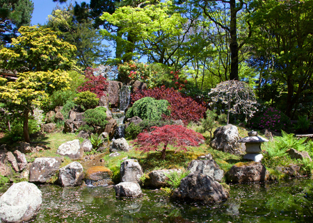 Japanese garden with waterfall, beautiful relaxing scene.の写真素材
