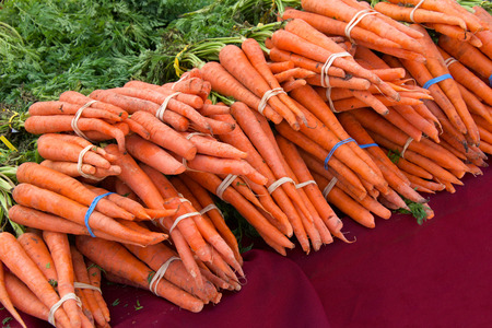 Carrots bunched with rubber bands and twist ties on table at Farmers Market. Fresh spring summer foodの写真素材