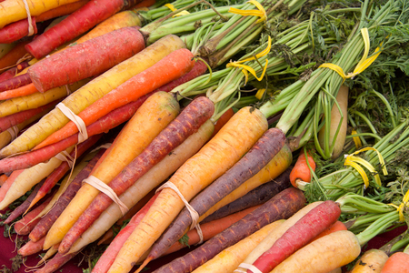 Rainbow carrots bunched with rubber bands and twist ties on table at Farmers Market. Fresh spring summer foodの写真素材