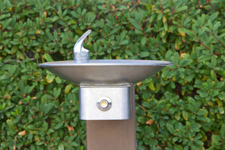 Close up of one push button stainless steel water fountain outside with green bushes in background.