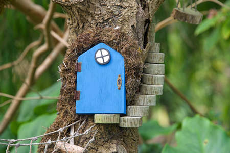 Close up of a fairy door with little steps to it, green leaves in background. An urban art movement of tiny fairy doors hitting the curbs, trees, and public spaces on the Island of Alameda, CA.の写真素材