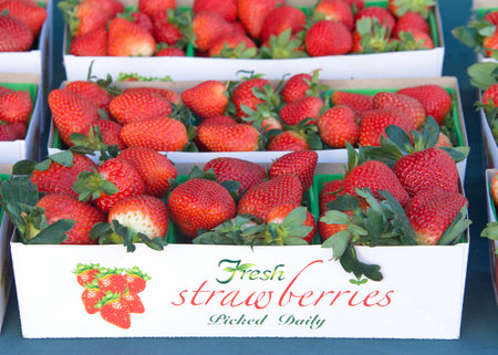 Close up on bins of strawberries for sale at farmers market. Fresh organic fruit.の写真素材