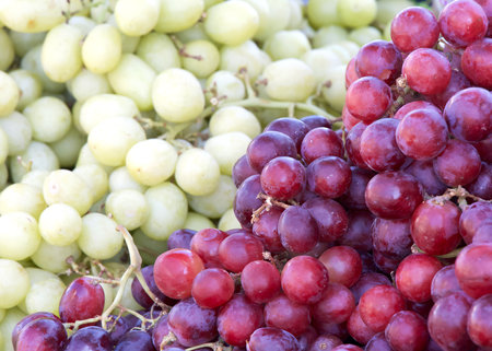 Close up on fresh organic red grapes on the stems at farmers market. Green grapes in the bakground. Fresh fruit background.の写真素材
