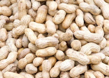 Close up on pile of whole peanuts in the shell at farmers market.