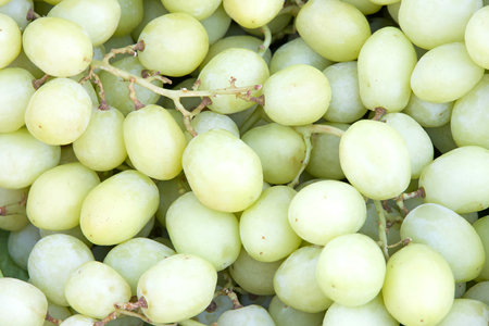 Close up on fresh organic green grapes on the stems at farmers market.. Fresh fruit background.の写真素材