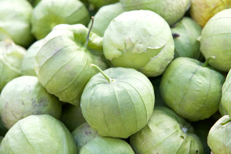 Close up on pile of Tomatillo Tomatoes. A round, green fruit produced inside a papery huskの写真素材
