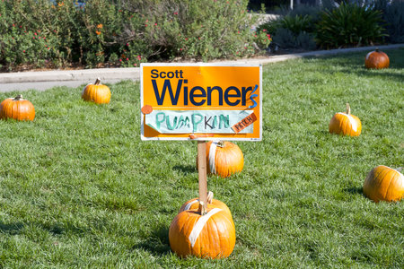 San Francisco, CA - Oct 28, 2023:  Pumpkins on the grass, pre-hollowed out for Senator Scott Wiener's Halloween Pumpkin Carving Event. Sign held up by pumpkins.のeditorial素材