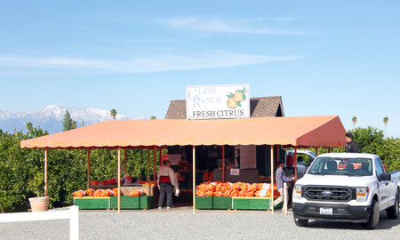 Riverside, CA - Dec 16, 2022: Gless Ranch Fresh Citrus stand on Van Buren and Dufferin Ave. Citrus groves growing in the background. Mount Baldy with snow in the distance.のeditorial素材