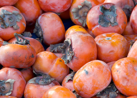 Close up on pile of freshly picked persimmons on display at Farmers Market.の写真素材