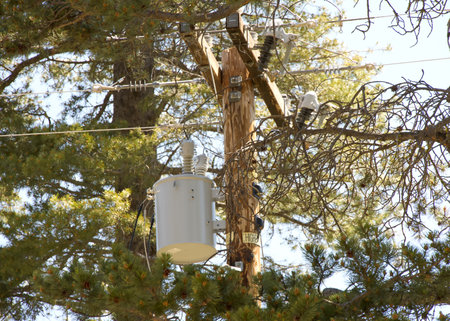 Power lines going through tall pine trees in the forest in Northern California. Transformers very...