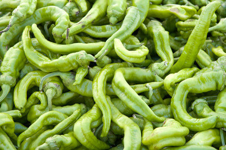 Close up on pile of fresh ripe sweet italian peppers for sale at farmers market. View from above.の写真素材