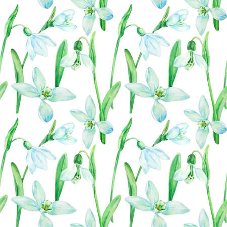 Spring seamless background with watercolor flowers of snowdropsの写真素材