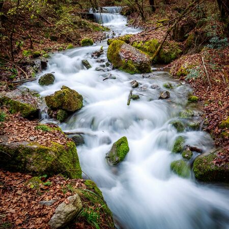 stream in autumnの写真素材