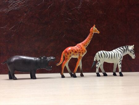 Animals in a row