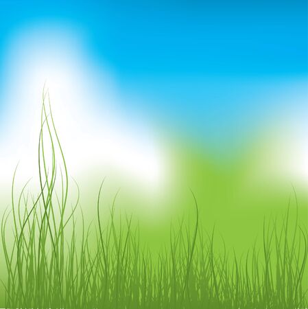 Green Grass and blue sky. Vector illustrationのイラスト素材