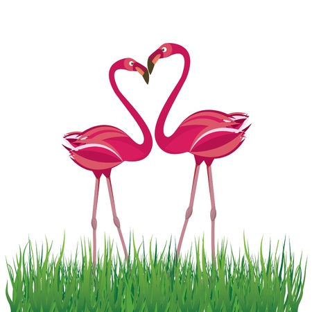 Two flamingo in love. Vector illustrationのイラスト素材
