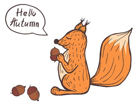 Autumn postcard with squirrel, acorn, nut. Hand draw botanic vector stock illustration, EPS 10.のイラスト素材