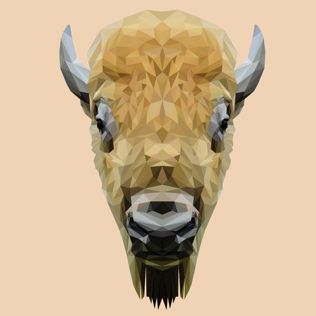 Bison animal low poly design. Triangle vector illustration.のイラスト素材